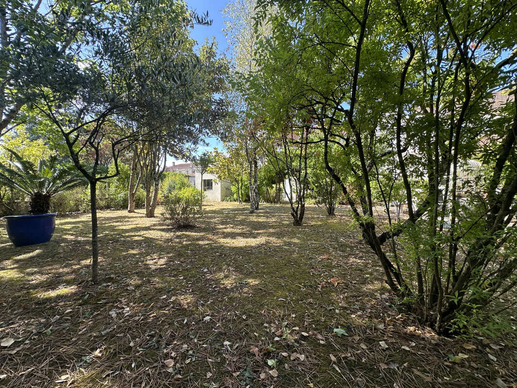 Maison à BARBEZIEUX-SAINT-HILAIRE