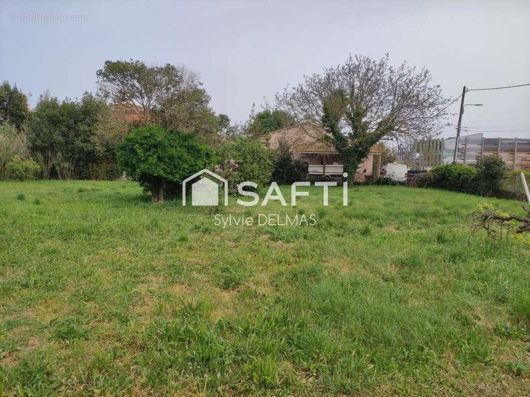 Photo 2 - Maison à MARSEILLAN