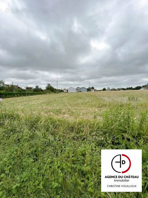 Terrain à SAINT-BENOIT-SUR-LOIRE