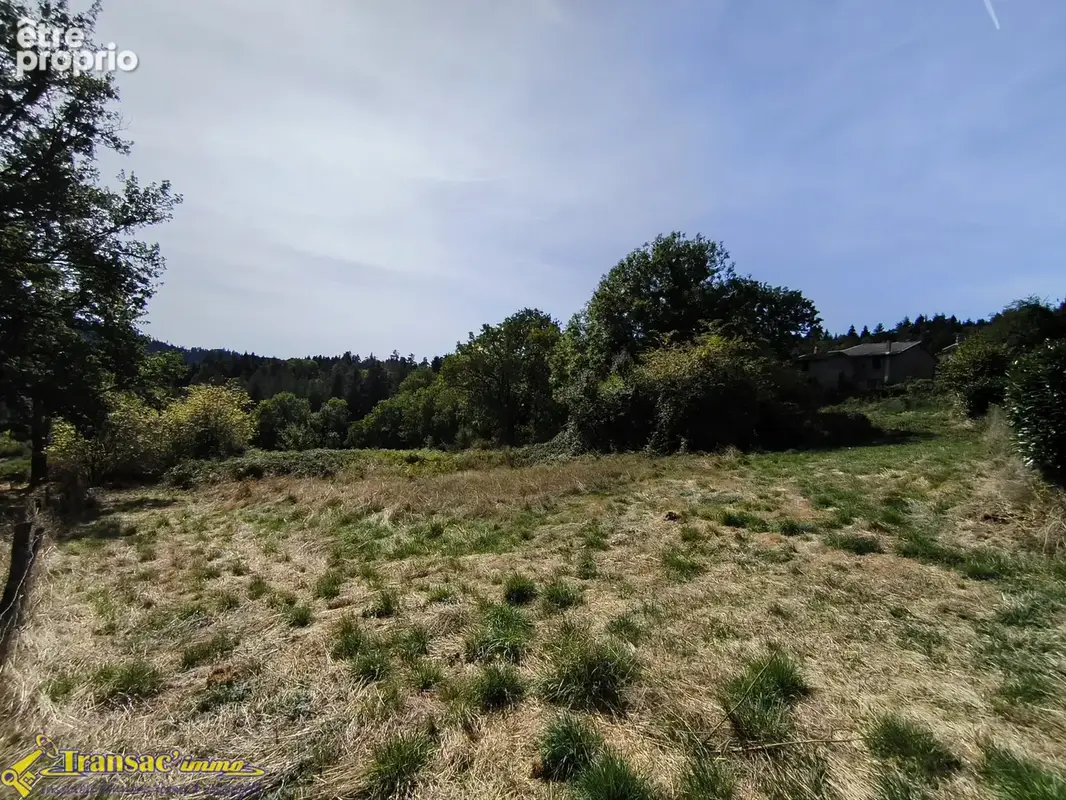 À Chabreloche, terrain constructible de 2707m2 exposé plein Sud. - photo 2