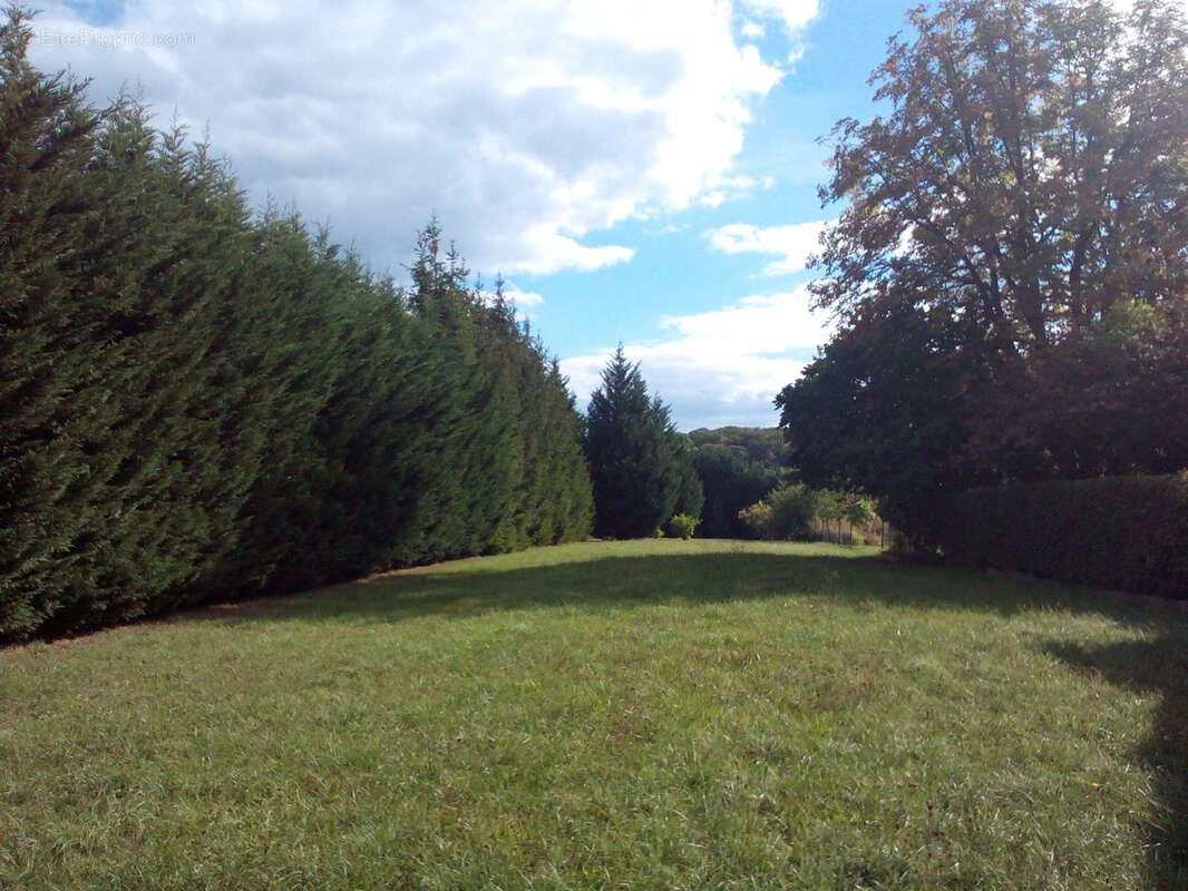 Terrain à LE VAL-DE-GUEBLANGE