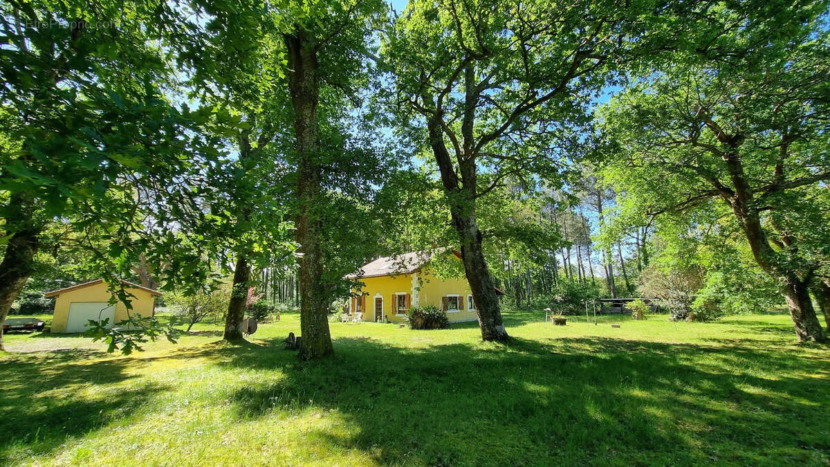 Maison de charme au cœur de la forêt landaise   Lévignacq - photo 17