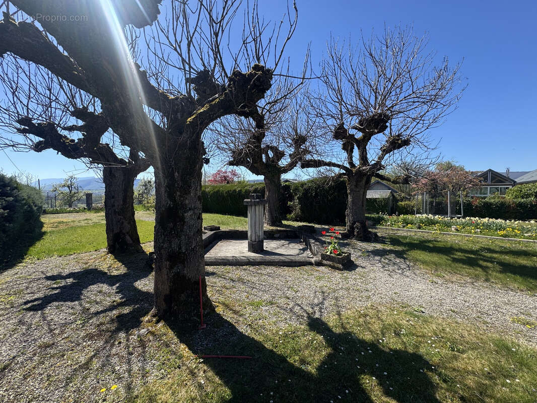 Terrain à SAINT-FELIX