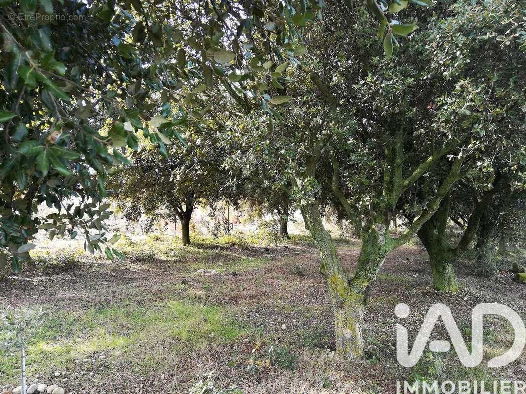 Photo 4 - Terrain à SAINTE-CECILE-LES-VIGNES