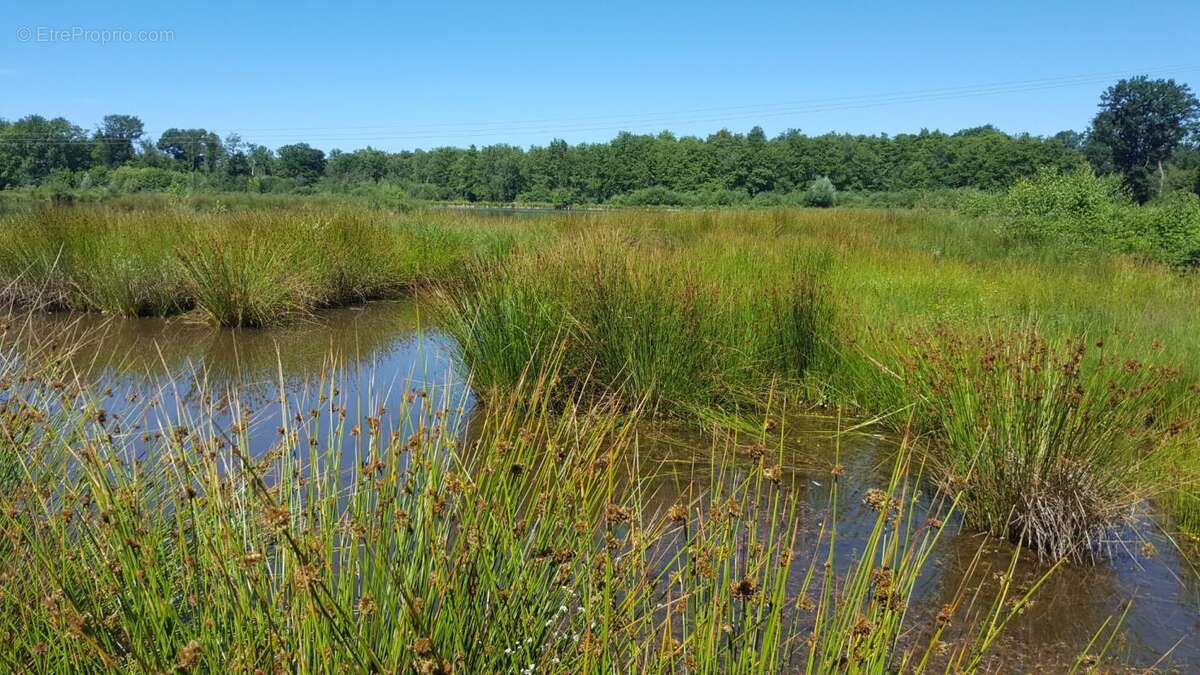 Maison à BRINON-SUR-SAULDRE