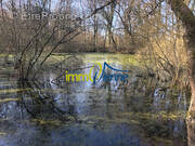 Terrain à USSON-DU-POITOU