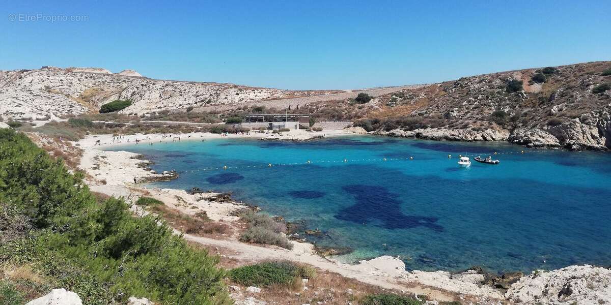 Commerce à MARSEILLE-7E