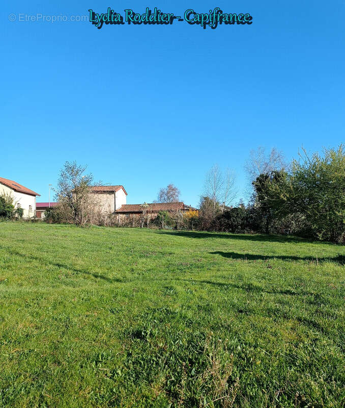 Terrain à PUY-GUILLAUME