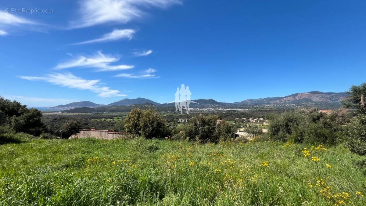 Terrain à BASTELICACCIA