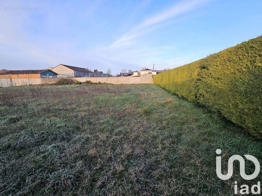 Photo 3 - Terrain à JAULDES