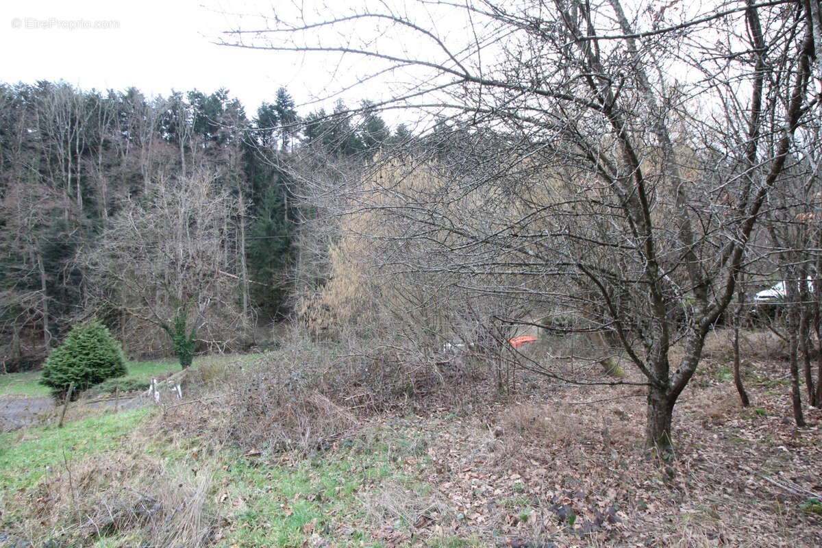 Terrain à BIRKENWALD