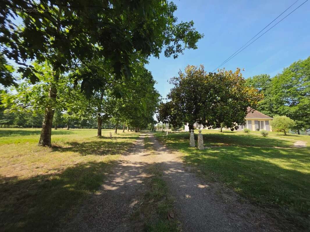Belle maison entre Eymet et Duras avec 4 hectares de terrain - photo 32