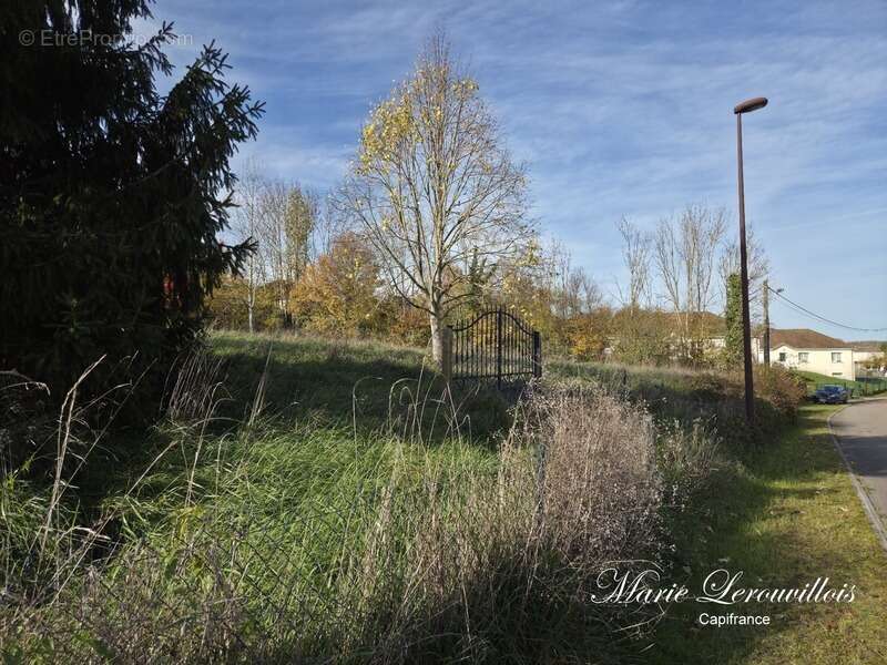 Terrain à vendre CHAOURCE (10) - photo 3