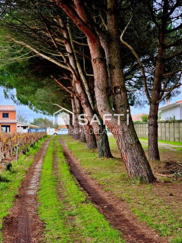 Photo 2 - Maison à PAUILLAC