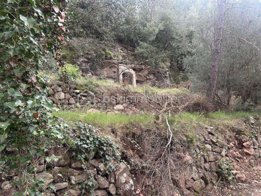 Terrain à SOLLIES-VILLE