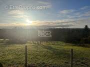 Terrain à LA FERTE-GAUCHER