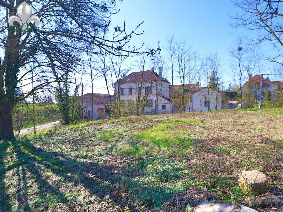Terrain à AUVILLARS-SUR-SAONE