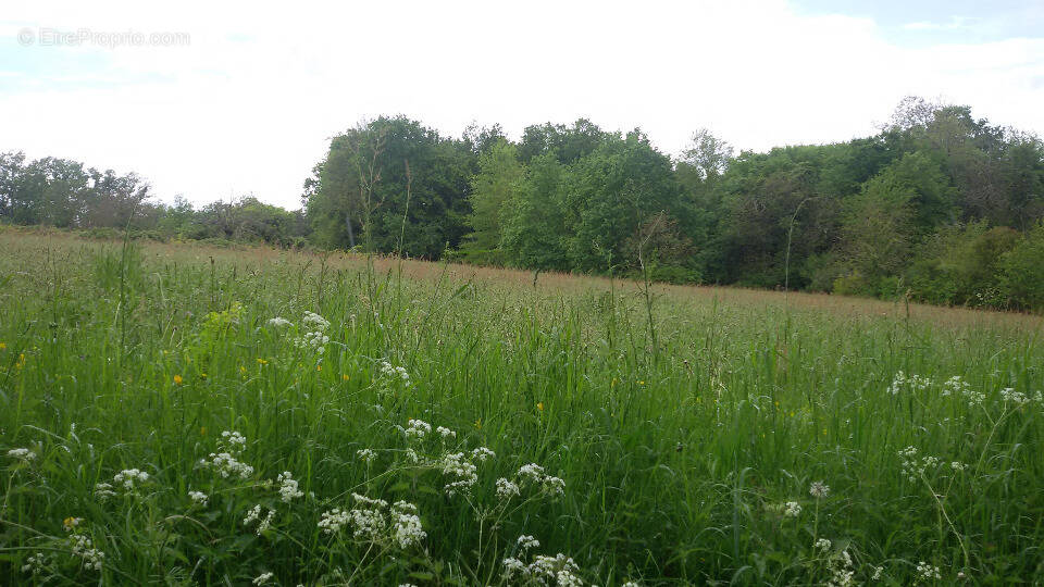 Terrain à SAINT-JEAN-D'ATAUX