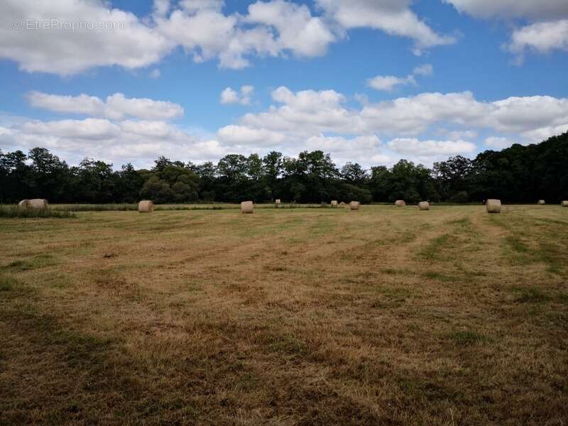 domaine agricole de 70 hectares d’un seul tenant avec bâtiment agricole et hangar - photo 5