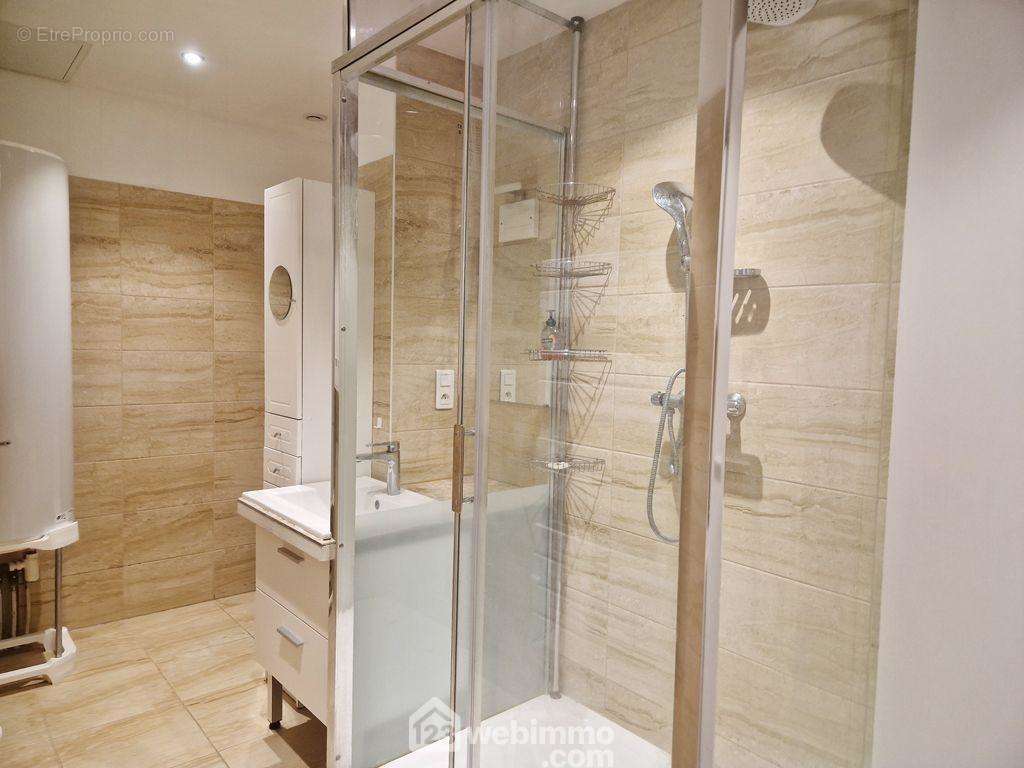 Une spacieuse salle de douche complète ce bien. - Appartement à ALBERTVILLE