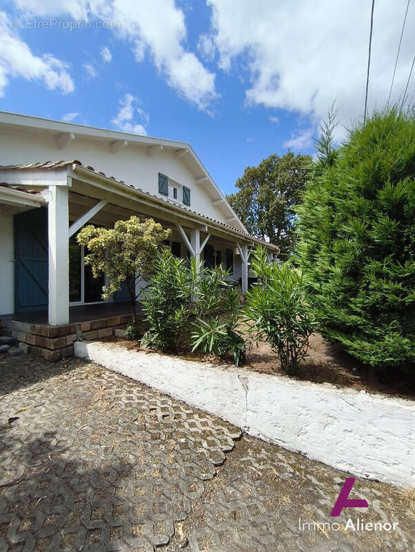 Maison à BELIN-BELIET