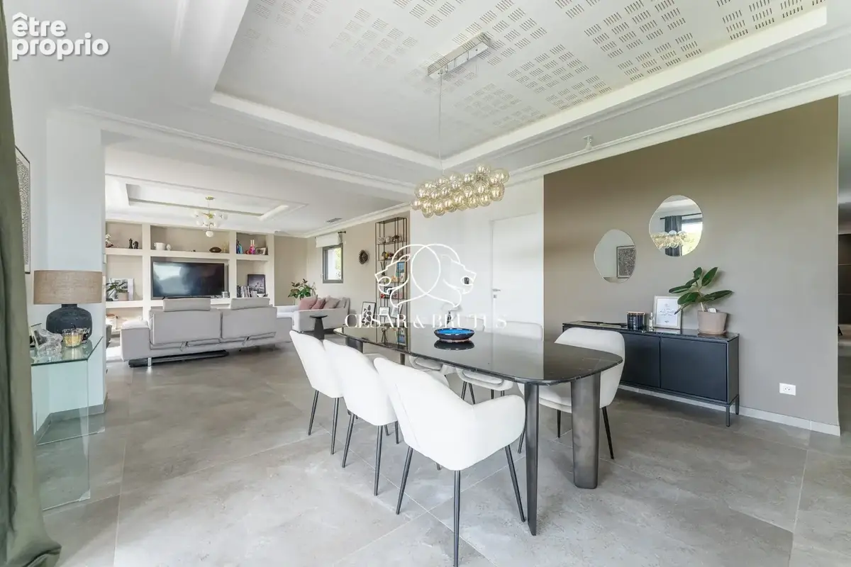 Maison 12 pièces 287 m² à vendre à Chavanoz (38230) - photo 4