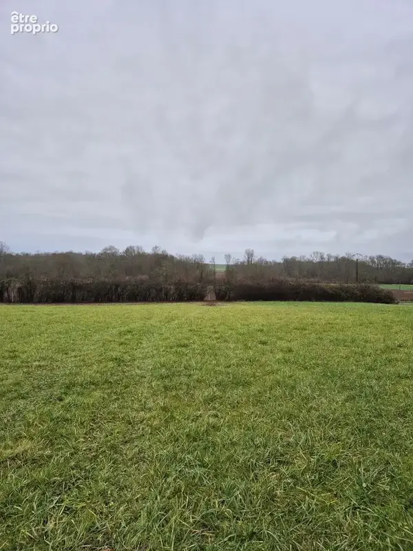 Photo Terrain à Genac au prix de 29 000€