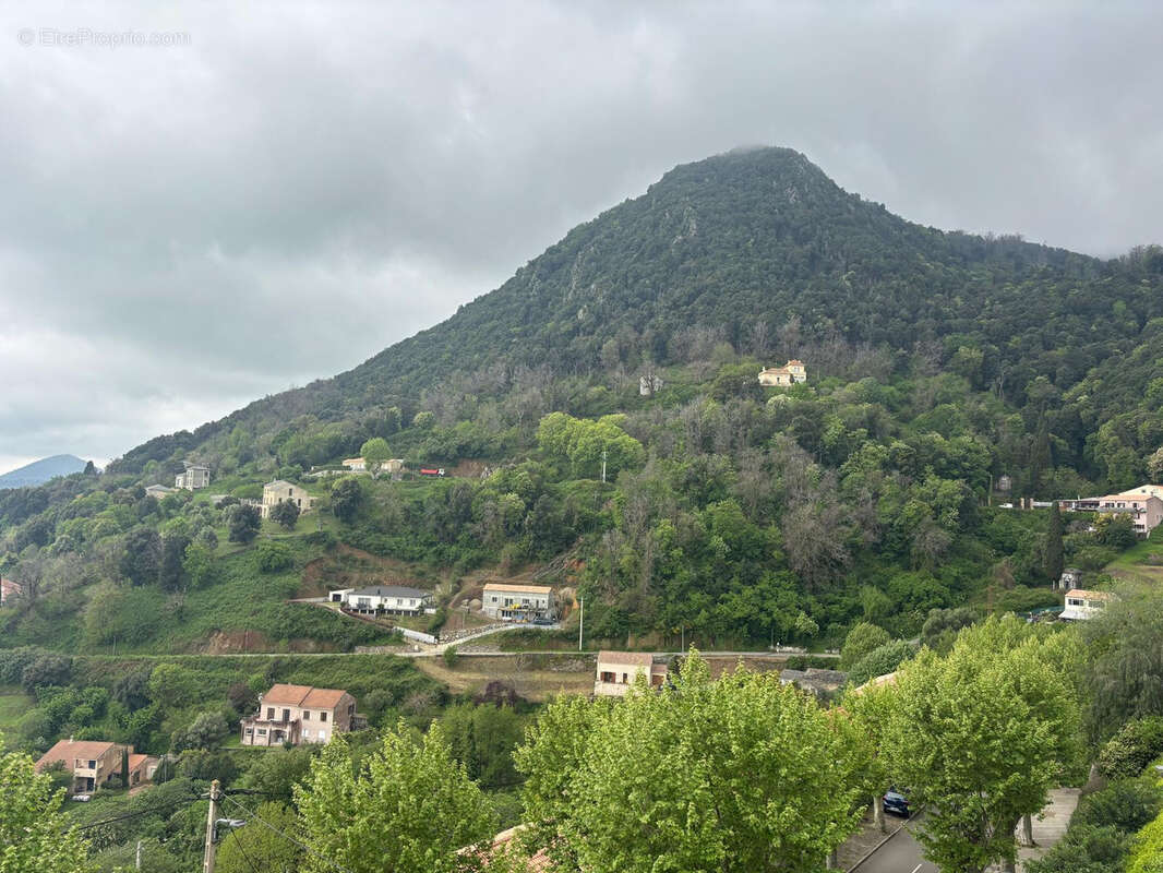 Appartement à CERVIONE