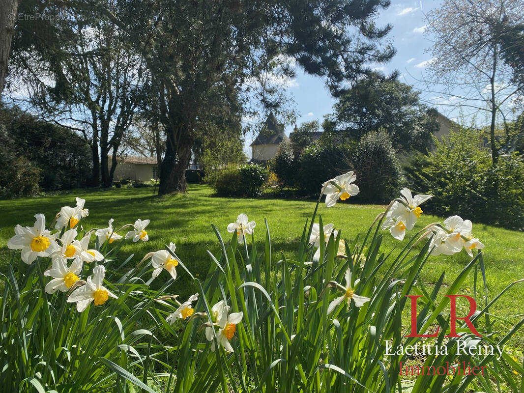 Maison à SAINT-GILLES