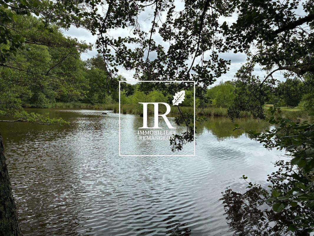 Propriete avec etang brinon sur sauldre - photo 11