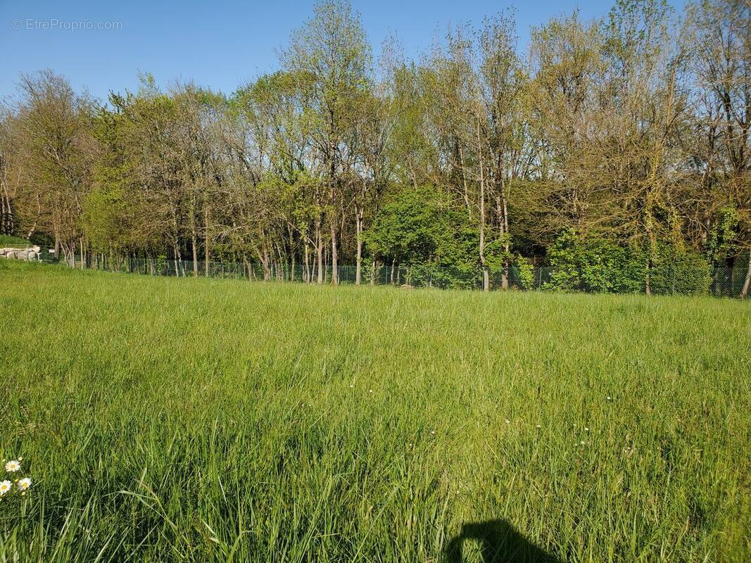 Terrain à CHAMPNIERS