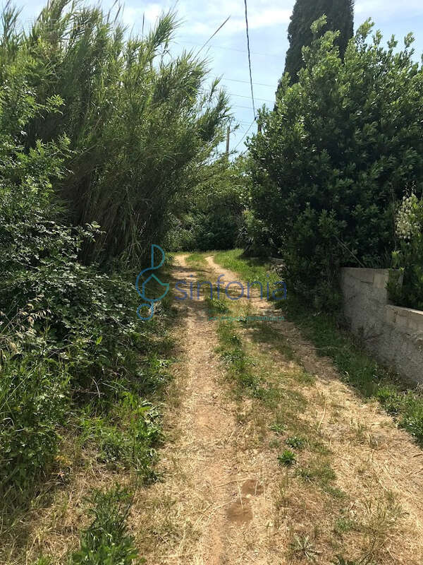 Saint-jean-de-védas   propriété rare à réhabiliter sur 4 835 m2 - photo 12