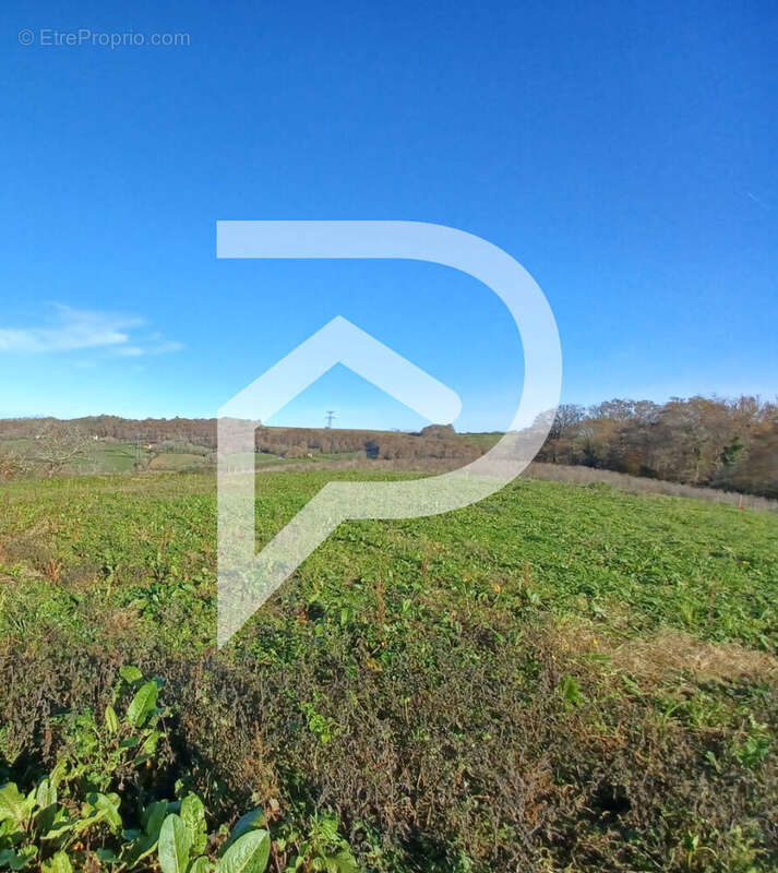 Terrain à bâtir Serres Sainte Marie 1389 m² - photo 3