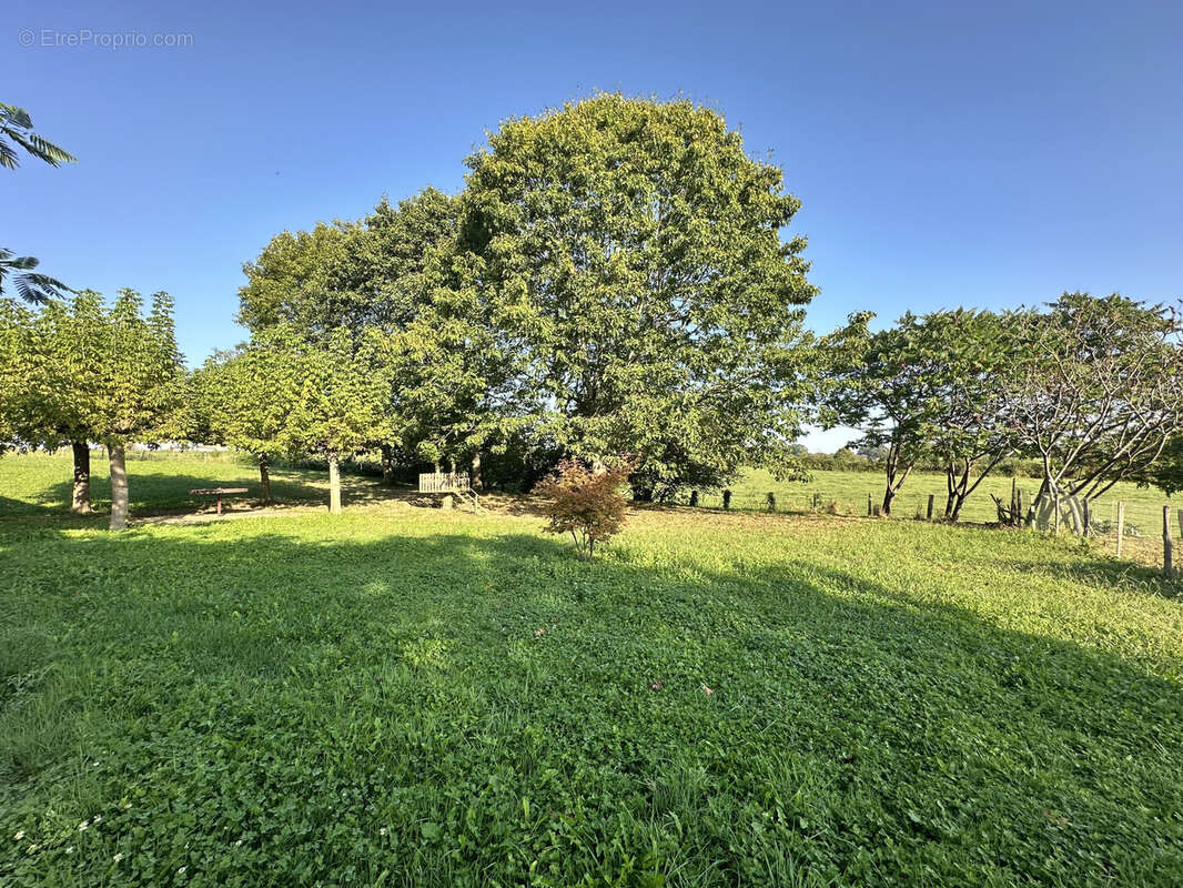 Maison à DOMEZAIN-BERRAUTE