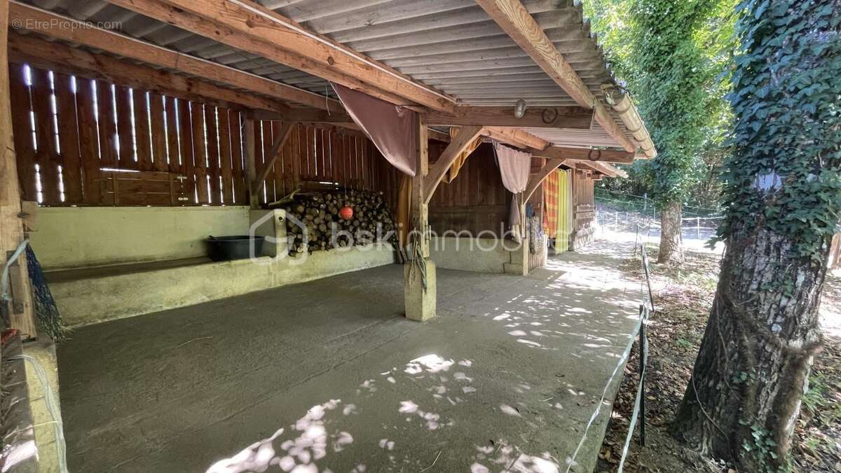 Propriété équestre aux portes de Bergerac sur 10 hectares et ses 2 gîtes - photo 19
