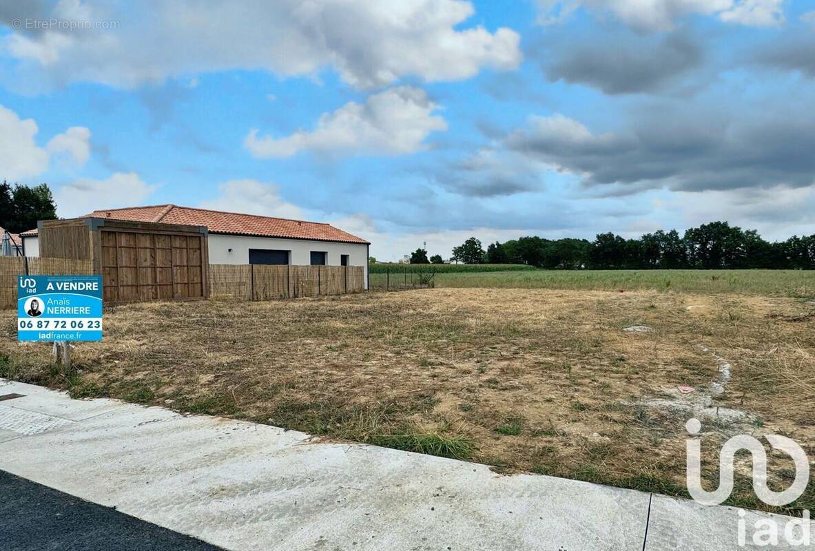 Photo 1 - Terrain à VIEILLEVIGNE
