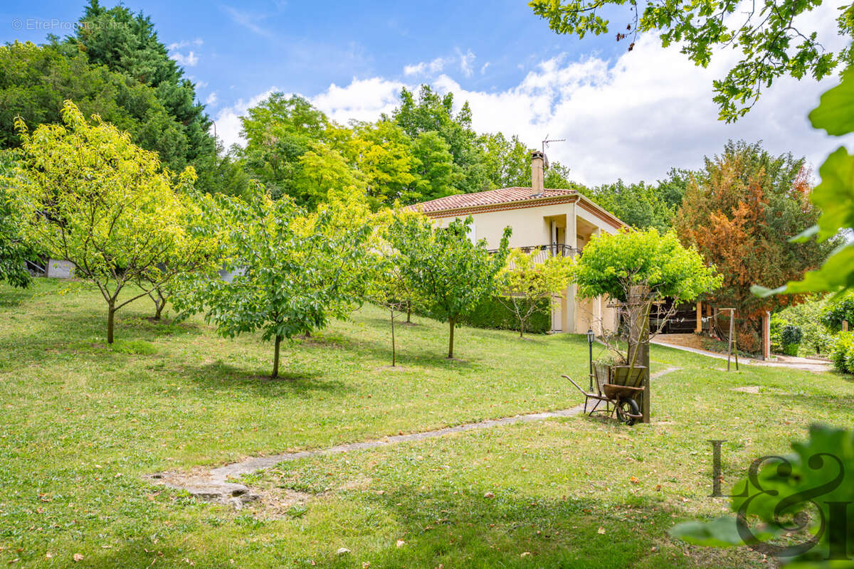 Charmante maison à Dolmayrac avec terrain autour - photo 6