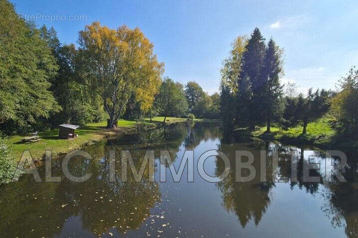 Terrain à TINCHEBRAY