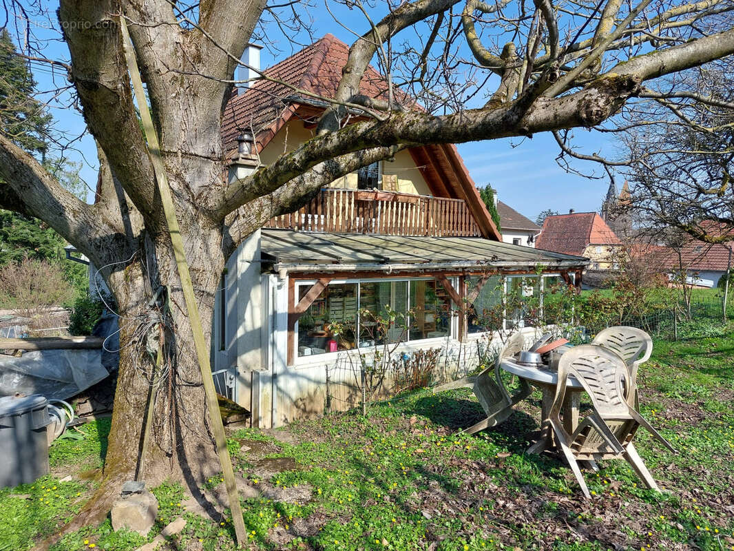Maison à WISSEMBOURG