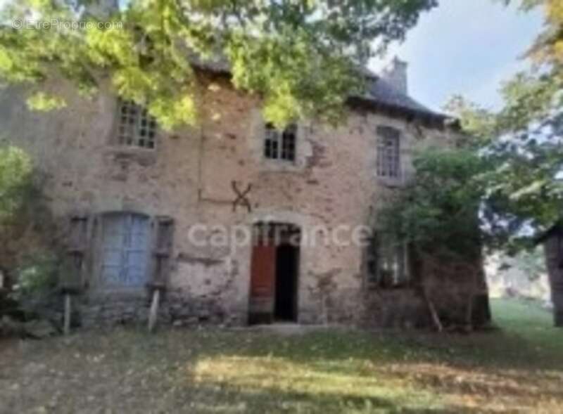 Maison de Maître du XVIIIe siècle avec dépendances et terrain de plus de 3 hectares – Puycapel (15) - photo 3