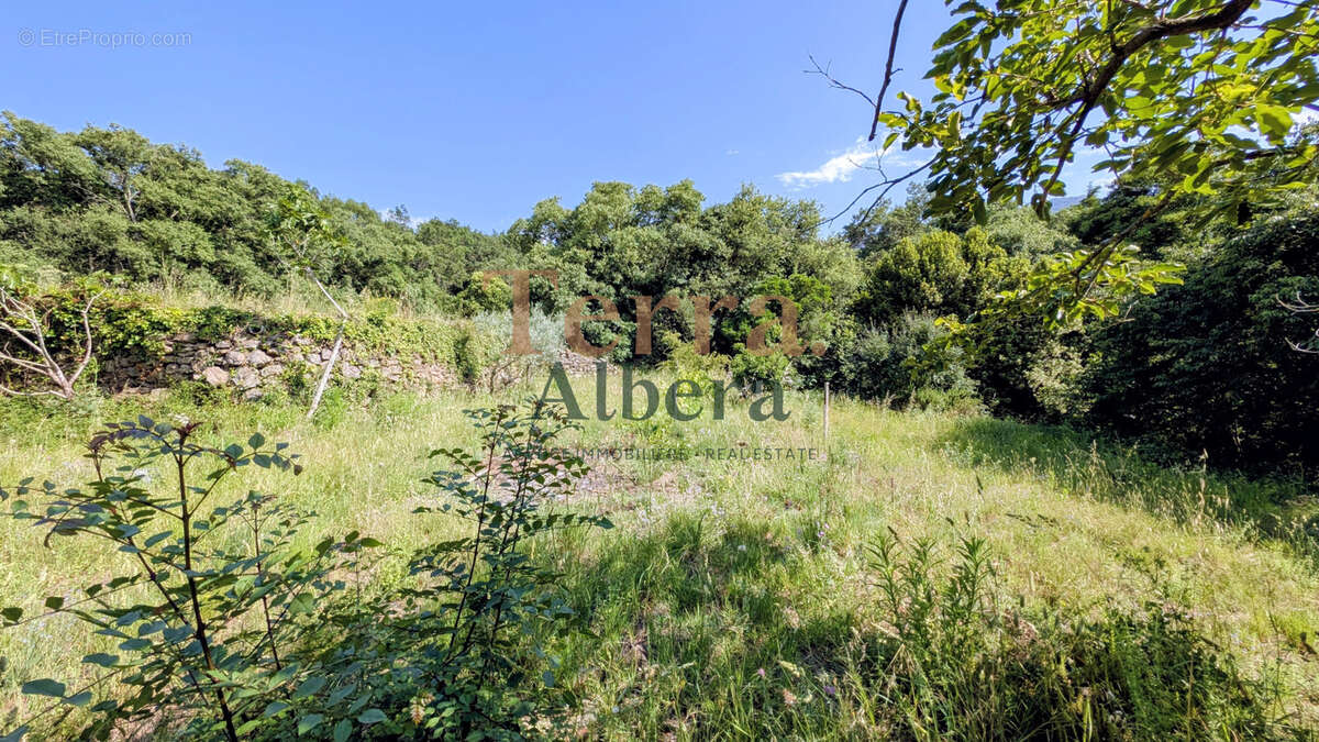 Villelongue-dels-Monts - TERRAIN de Loisir en zone Nature - photo 8