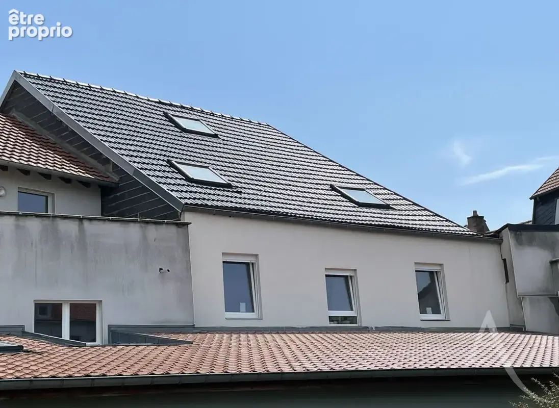 Immeuble Puttelange Aux Lacs 12 pièce(s) 330 m2 - photo 2