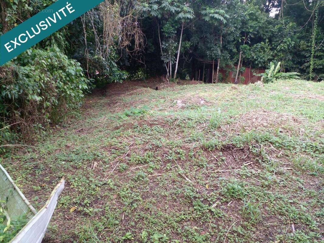 Photo 3 - Terrain à GROS-MORNE