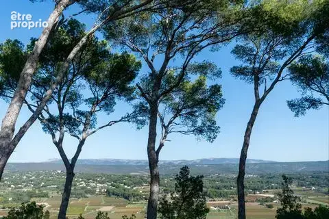 Maison 560 m² à La Cadiere-D'azur  - photo 3