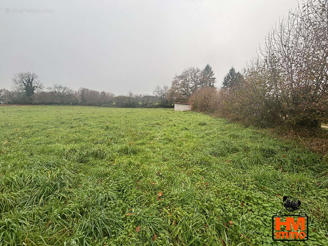 Terrain à ANGOISSE