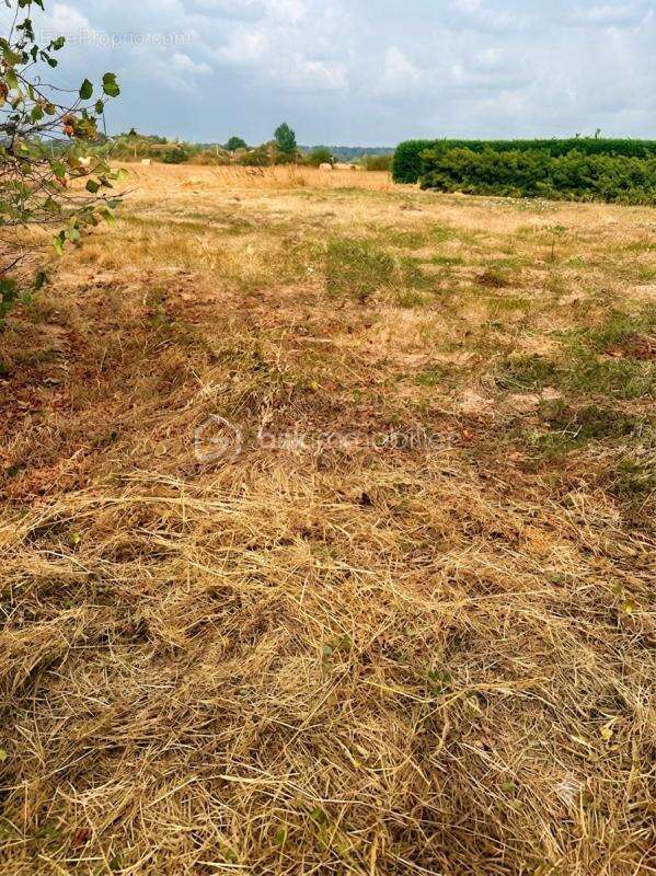 Terrain viabilisé divisible et constructible avec permis accordé1553 m2 vue sur les Pyrénées-89 000€ FAI - photo 5