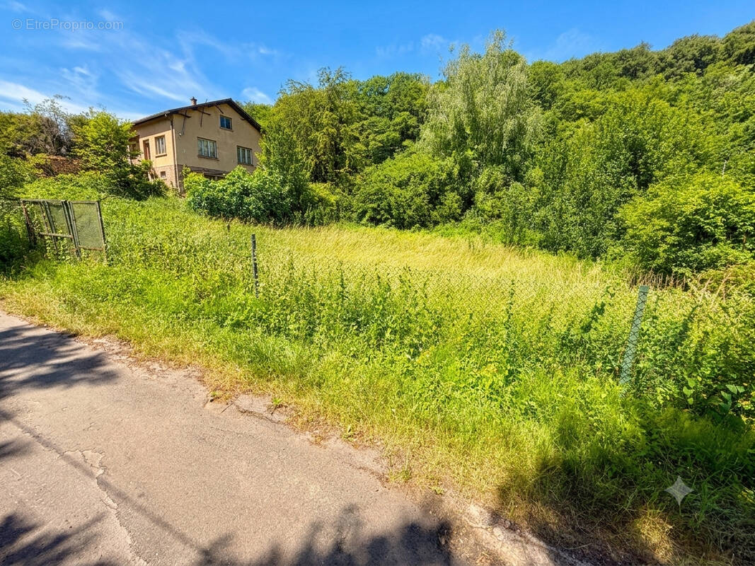 Terrain à ALGRANGE