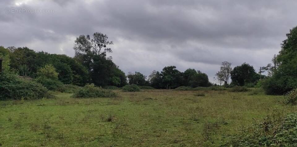 Terrain à TROUVILLE-SUR-MER