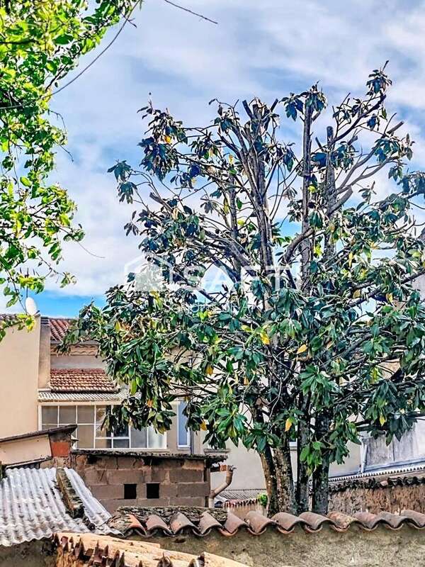 Photo 9 - Maison à CARMAUX