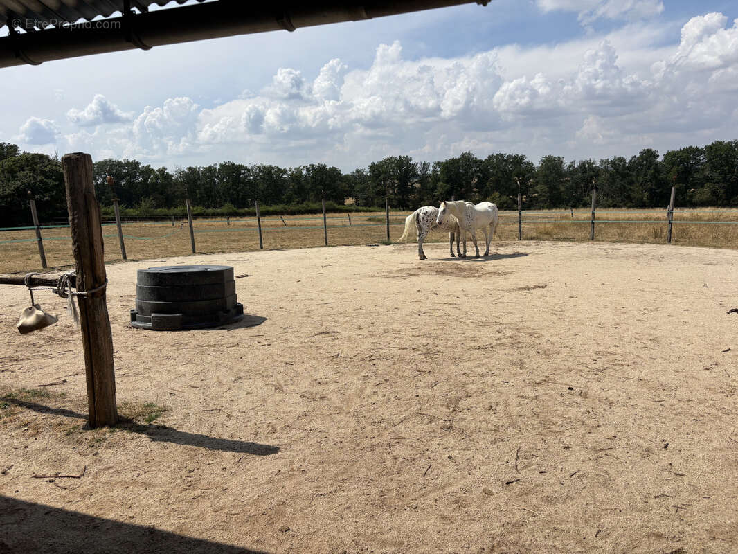 Cérilly - Charmante petite ferme avec une grande grange, située sur un terrain d'environ 1 hectare à proximité - photo 37